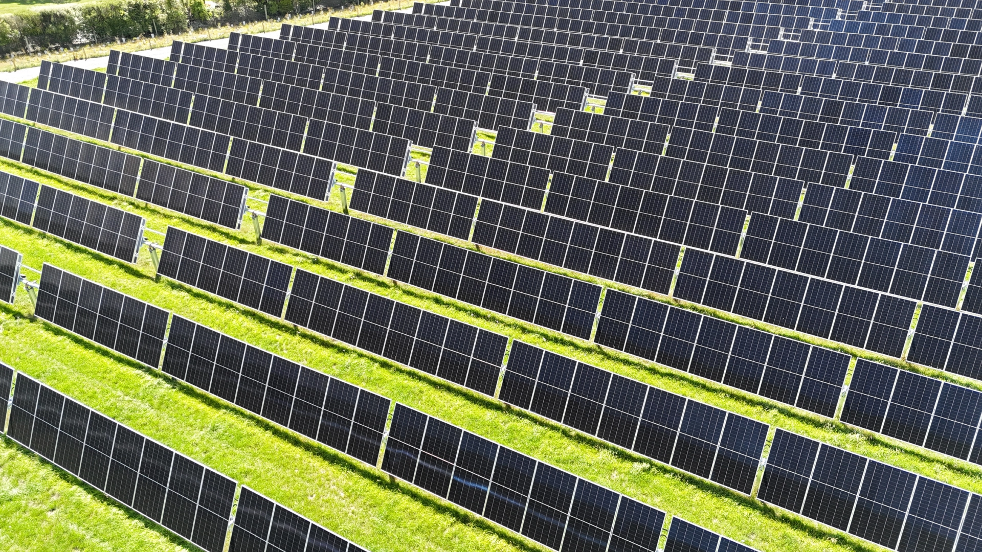 Rows of solar panels stretching across a bright green field