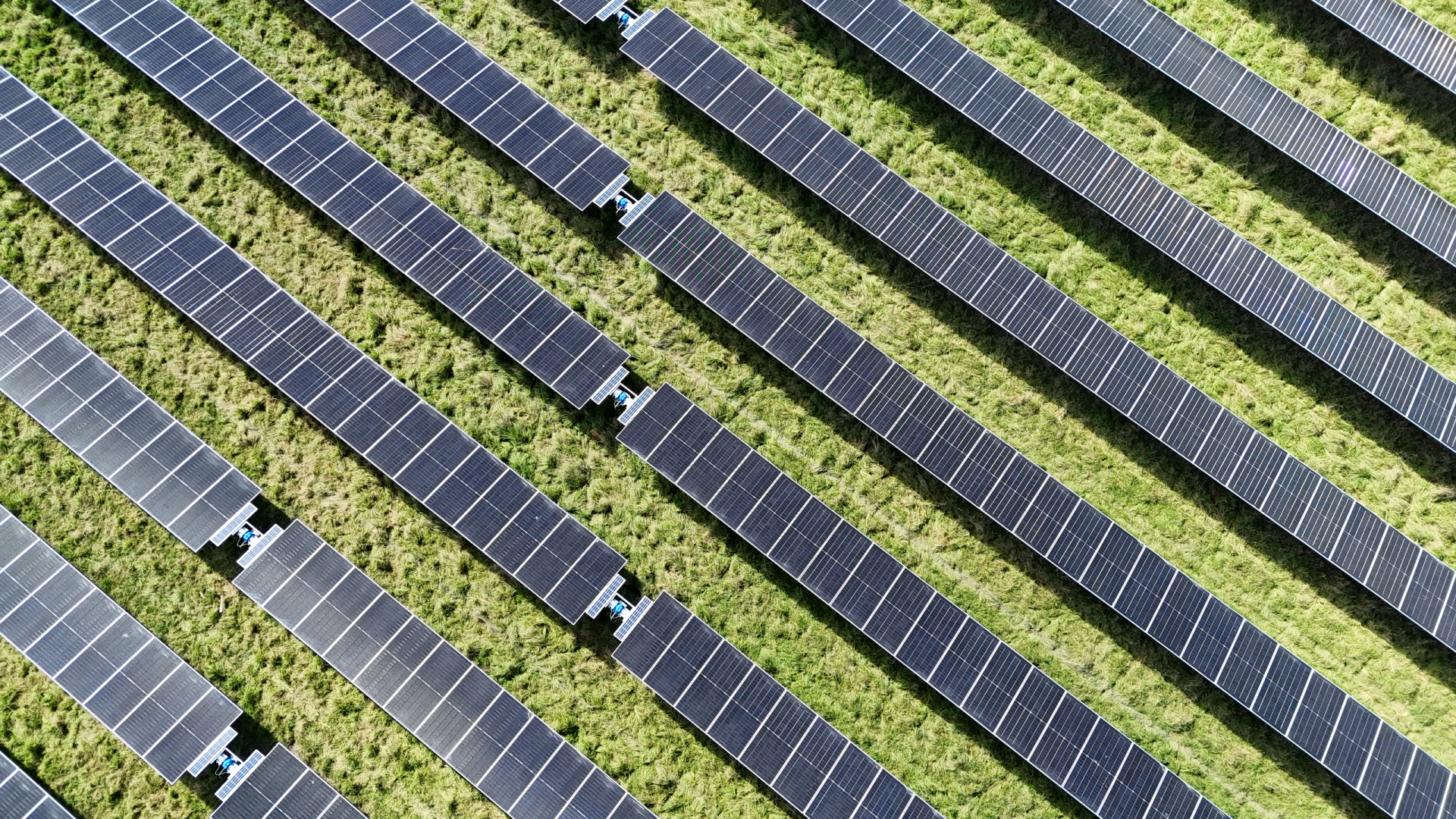Aerial view of long rows of solar panels on a grassy site