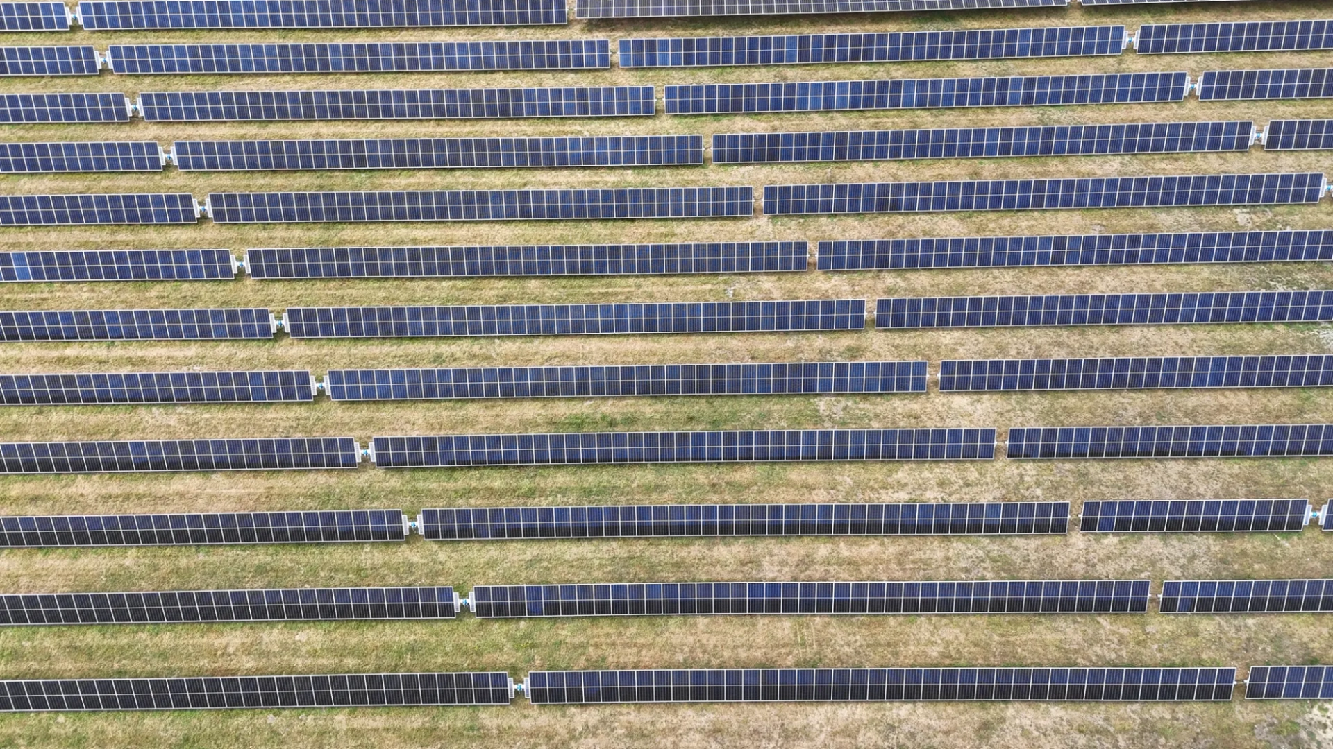Carterton 1 solar project, view 3