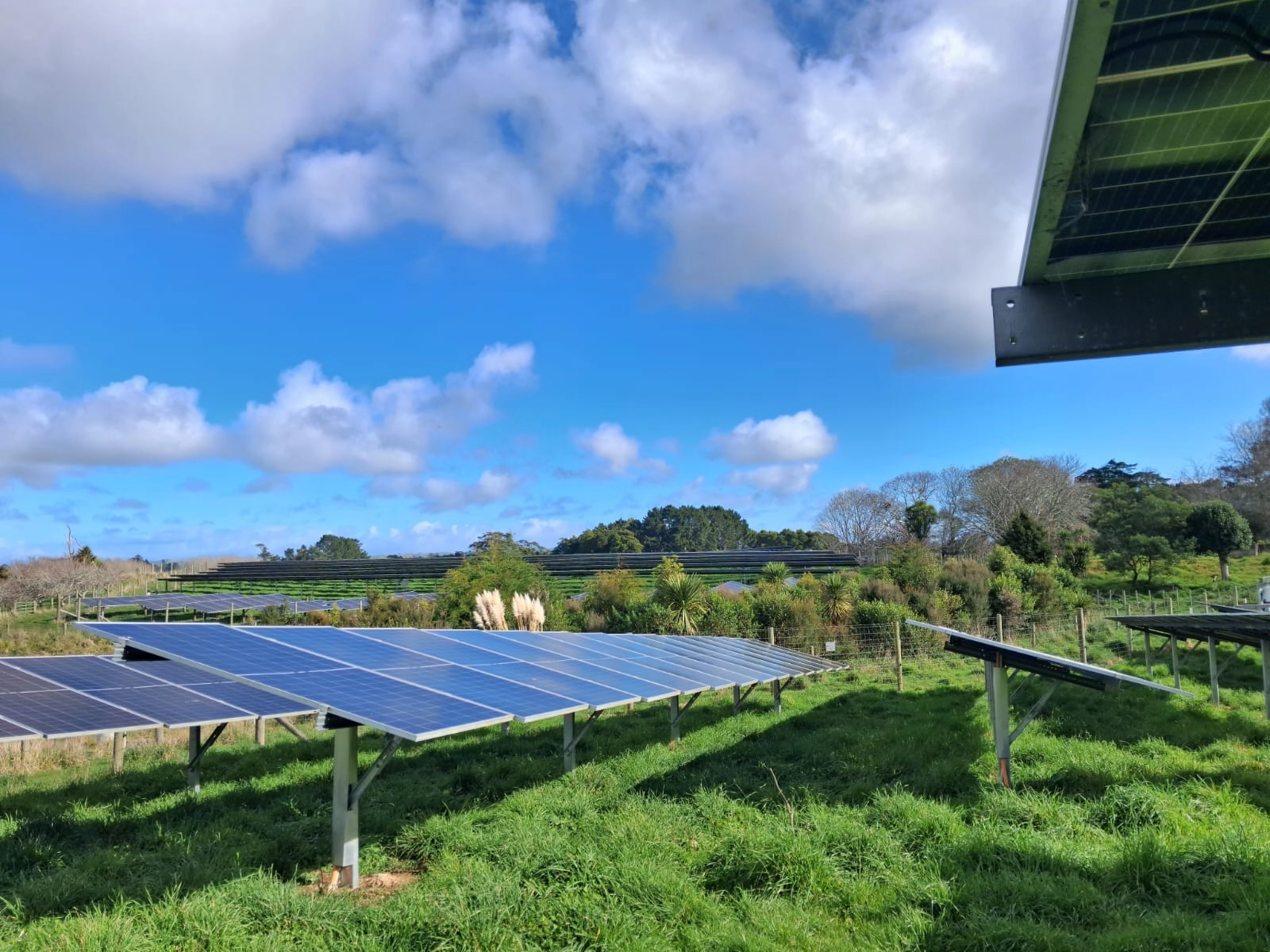 Waiuku solar project, view 2